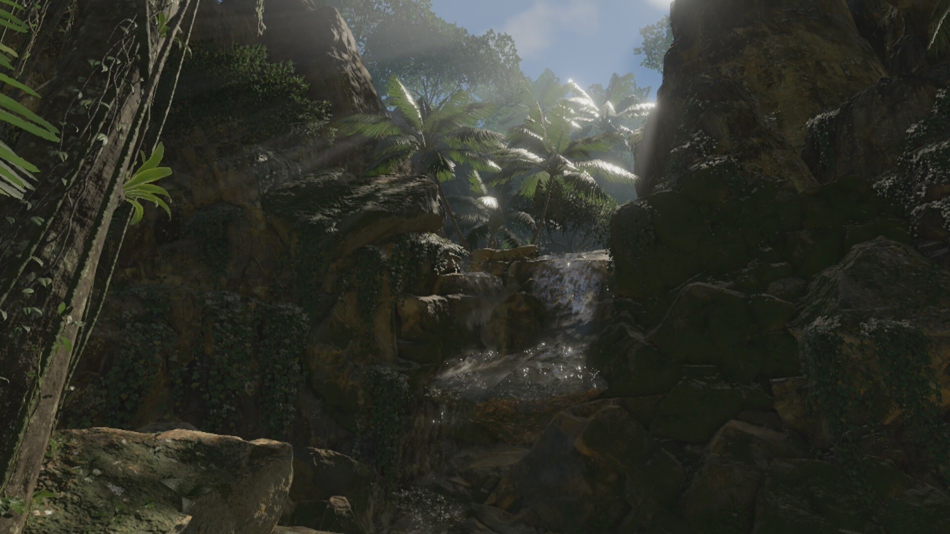 Green Hell VR