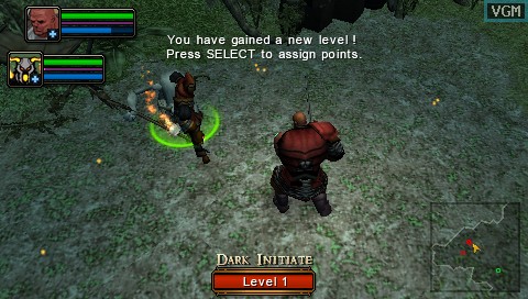 Dungeon Siege: Throne of Agony